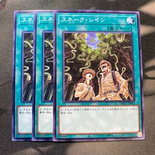 スネーク・レイン ノーマル