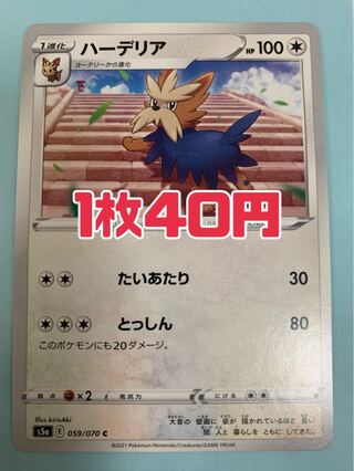 ポケモンカード ハーデリア たいあたり