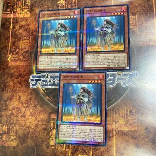 遊戯王★不知火の隠者★ノーマルパラレル三枚★