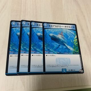 Royal Academy Whale 2