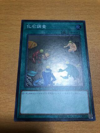 化石調査 スーパーレア