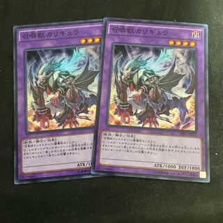 召喚獣カリギュラ スーパーレア　2枚