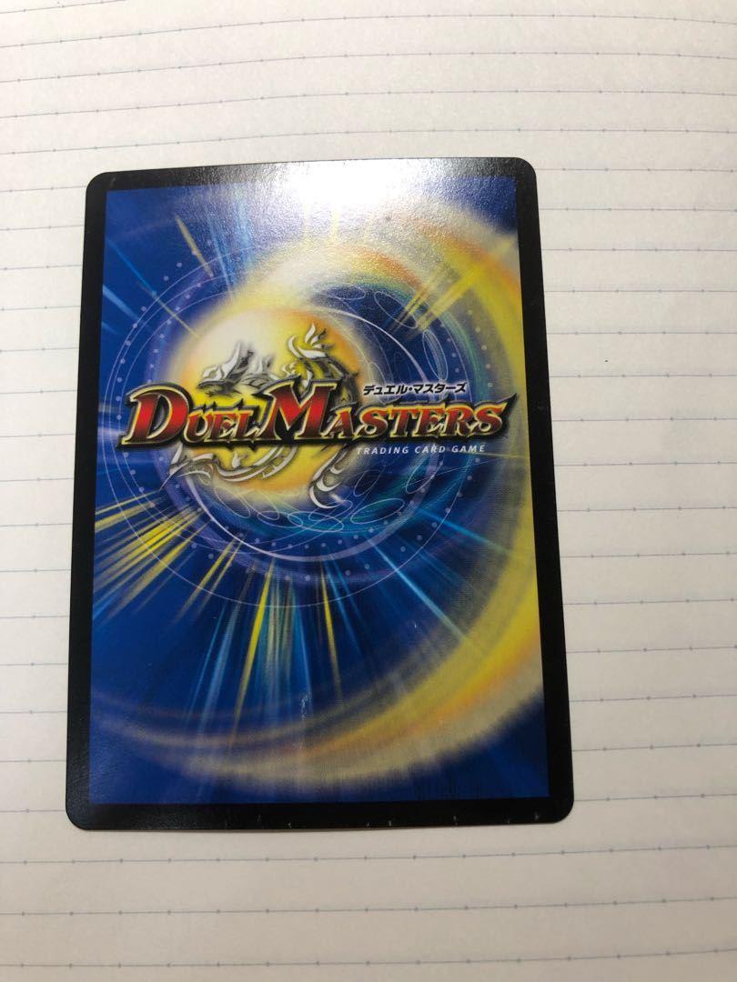 「雷光の聖騎士」