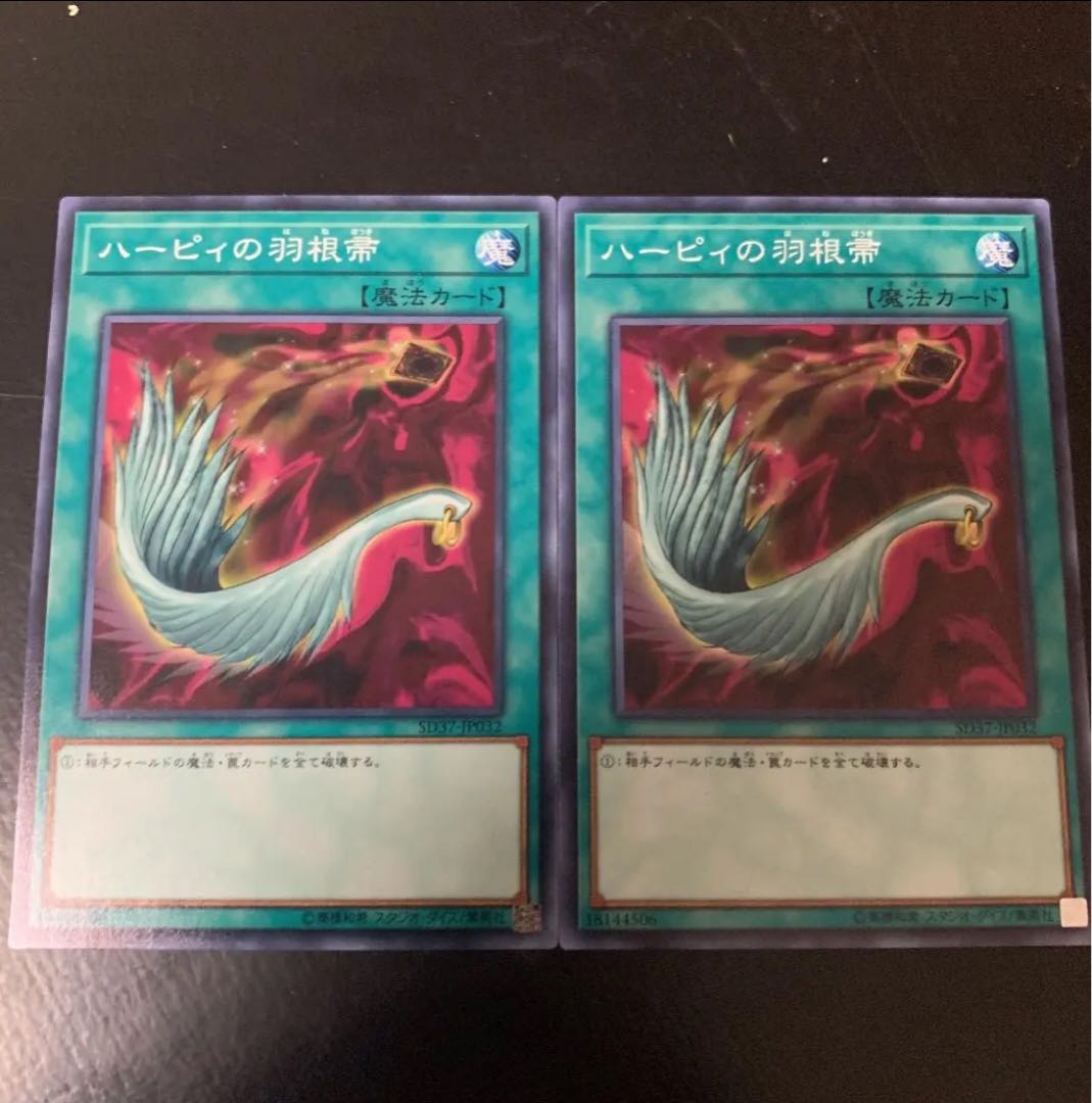 ハーピィの羽根帚　ノーマル　2枚