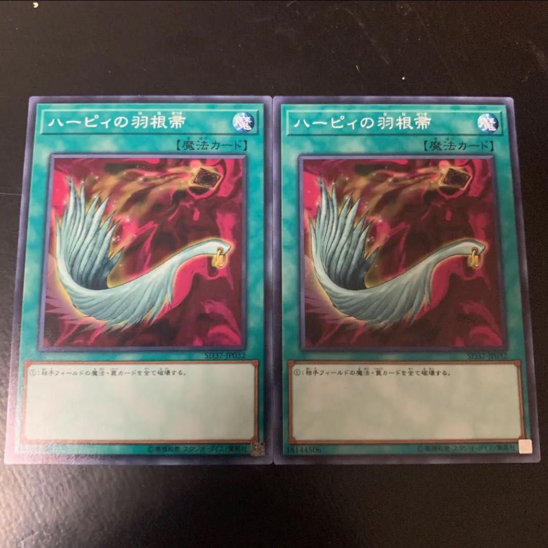 ハーピィの羽根帚　ノーマル　2枚