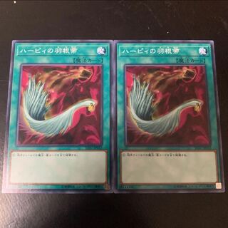 ハーピィの羽根帚　ノーマル　2枚