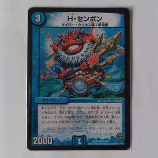 H・センボン キズ