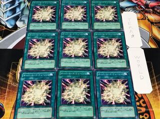 オーバーロード・フュージョン ノーマル 9枚セット