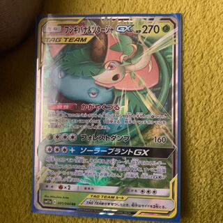 フシギバナ＆ツタージャgx