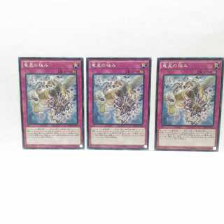 竜星の極み 3枚セット 遊戯王 無言可 レア ノーマル