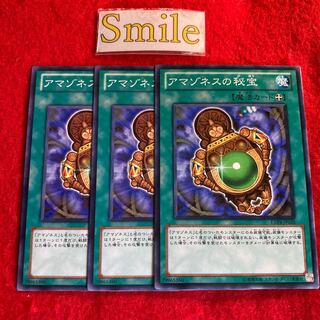 アマゾネスの秘宝#2521