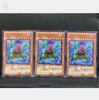 【ぽぽたん】遊戯王 9427  スプリット・Ｄ・ローズ 3枚 ノーマル