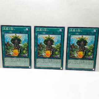 森羅の施し 3枚セット 遊戯王 無言可 レア ノーマル