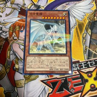 ◉白き霊龍 パラレル ノーマル