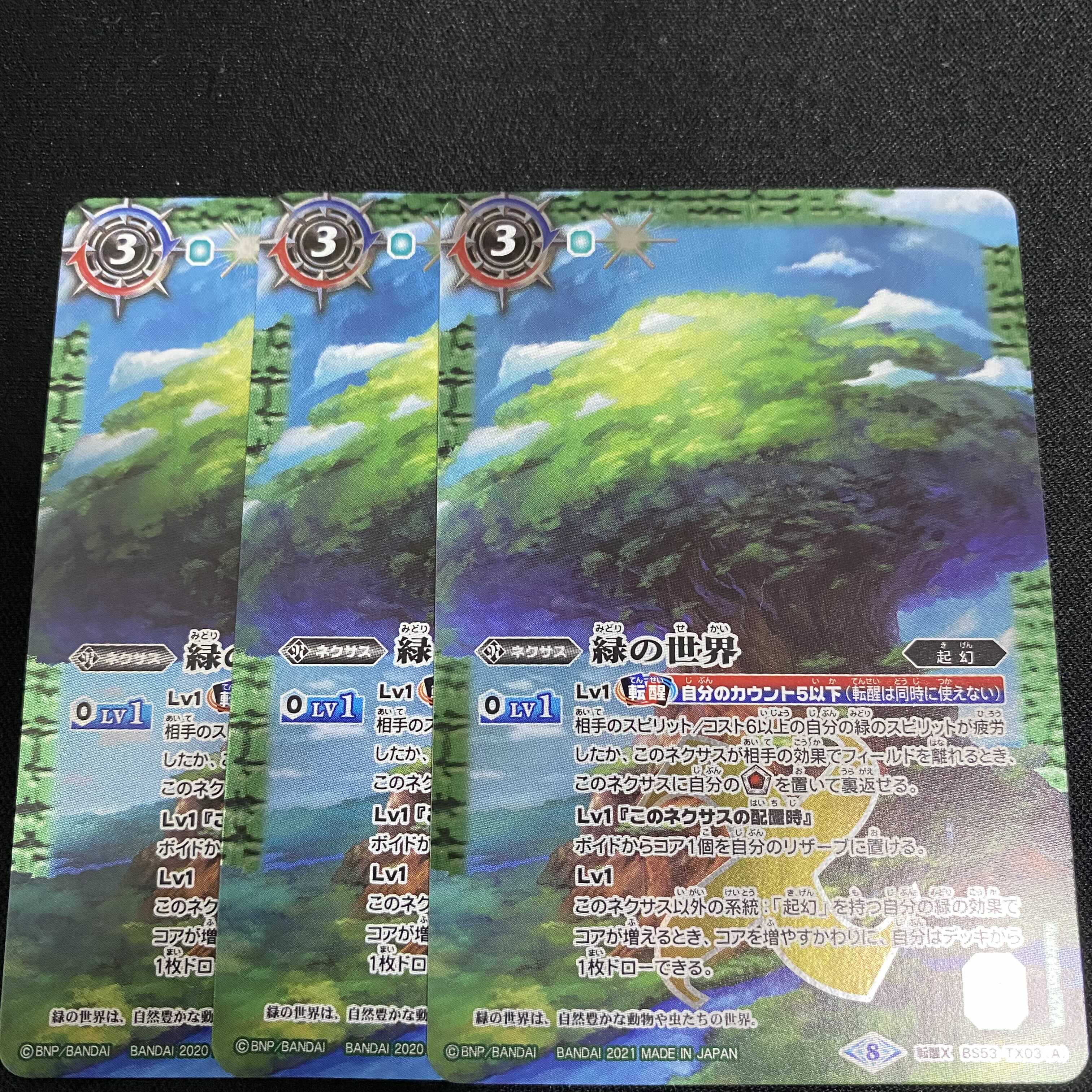 フー戦様専用 9/16まで取り置き