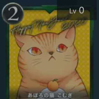 あぽろの猫 こむぎ