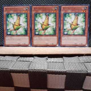 【ぽぽたん】遊戯王 4205  モロコシーナ 3枚 ノーマル