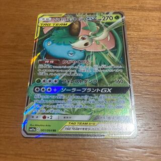 フシギバナ＆ツタージャ」の激安通販 | magi
