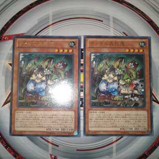 ティオの蟲惑魔 レア