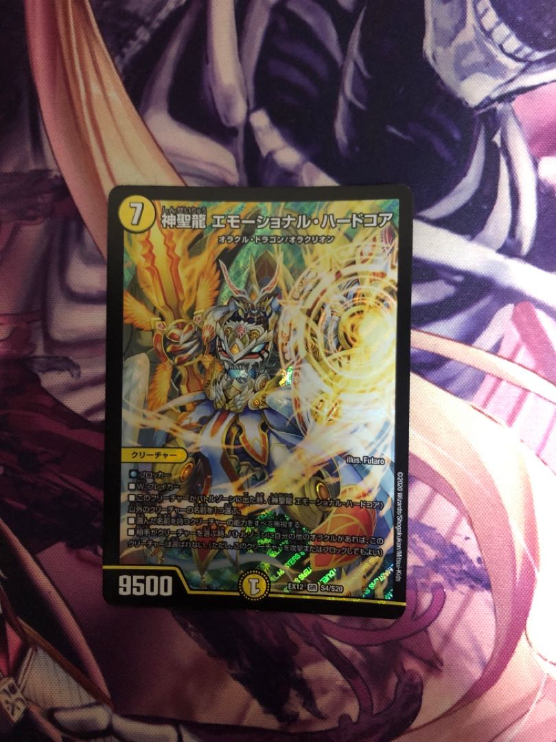 神聖龍 エモーショナル・ハードコア