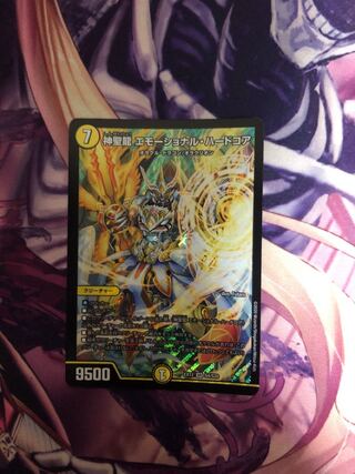 神聖龍 エモーショナル・ハードコア