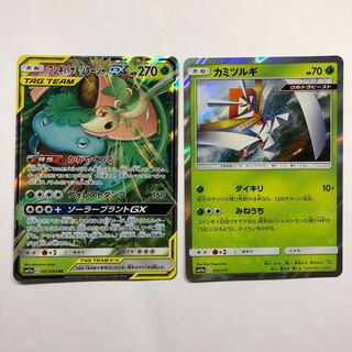 フシギバナ&ツタージャ