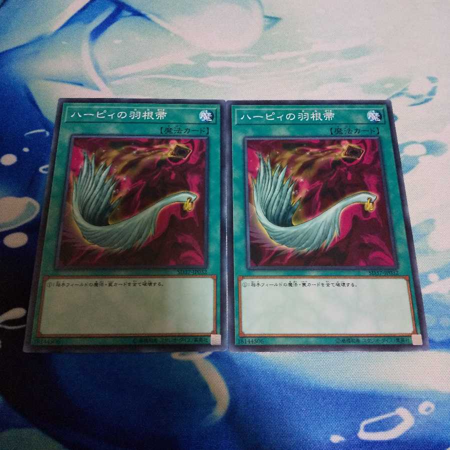 ハーピィの羽根帚