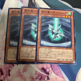 風征竜 ライトニング