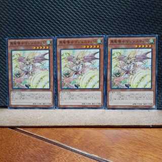 Popotan] Yu-Gi-Oh! 714 True Dragon Leader Majesty M 3 normal 3枚