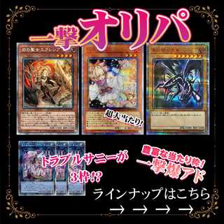 【30p】ルナさん専用