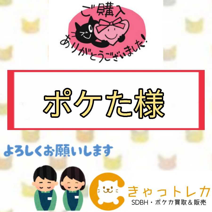 ポケた様専用ページ