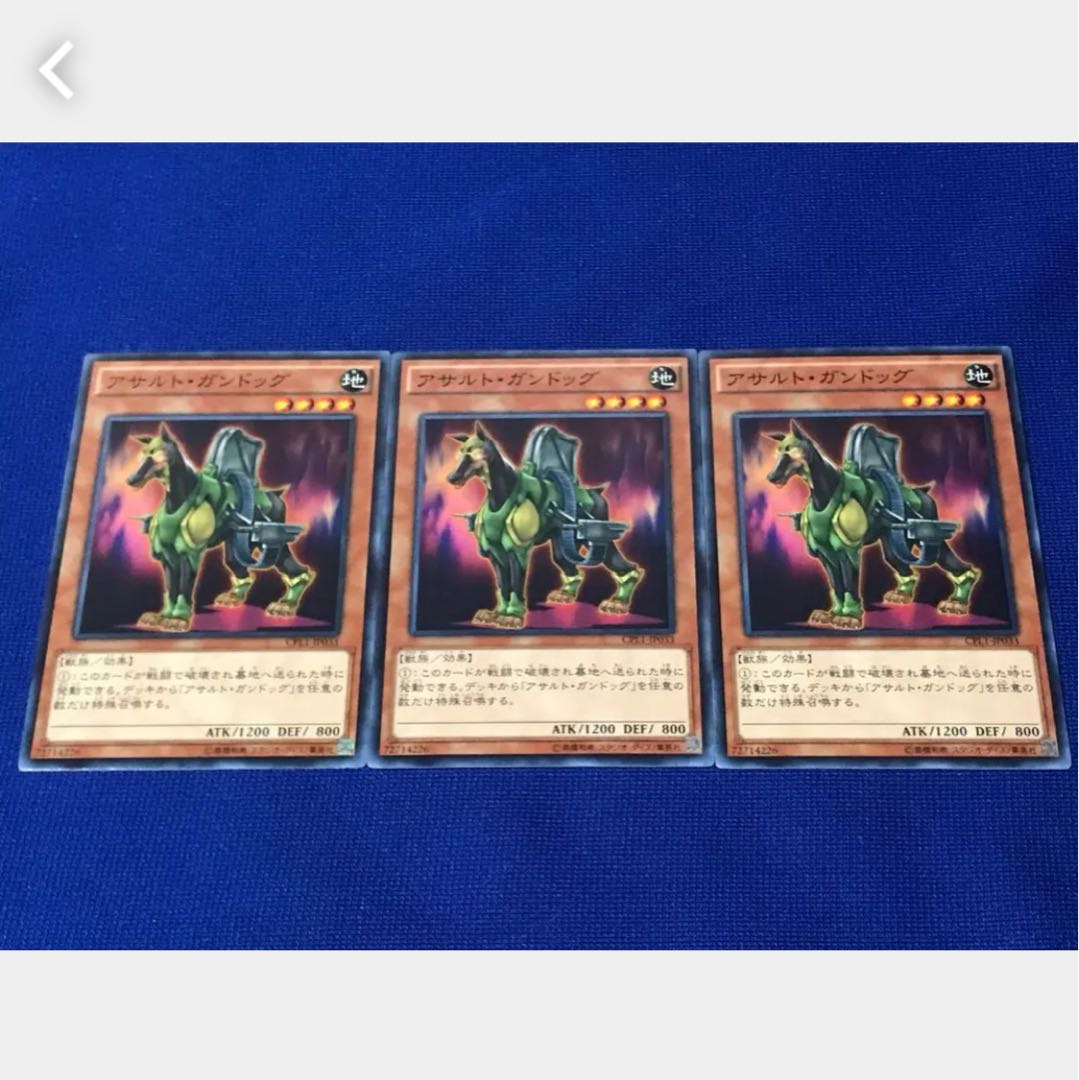 【ぽぽたん】遊戯王 アサルト・ガンドッグ 3枚 ノーマル