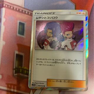 ムサシとコジロウ しゃくあく様専用