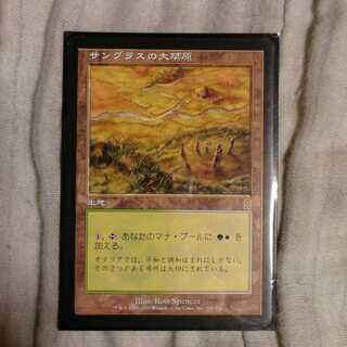 サングラスの大草原