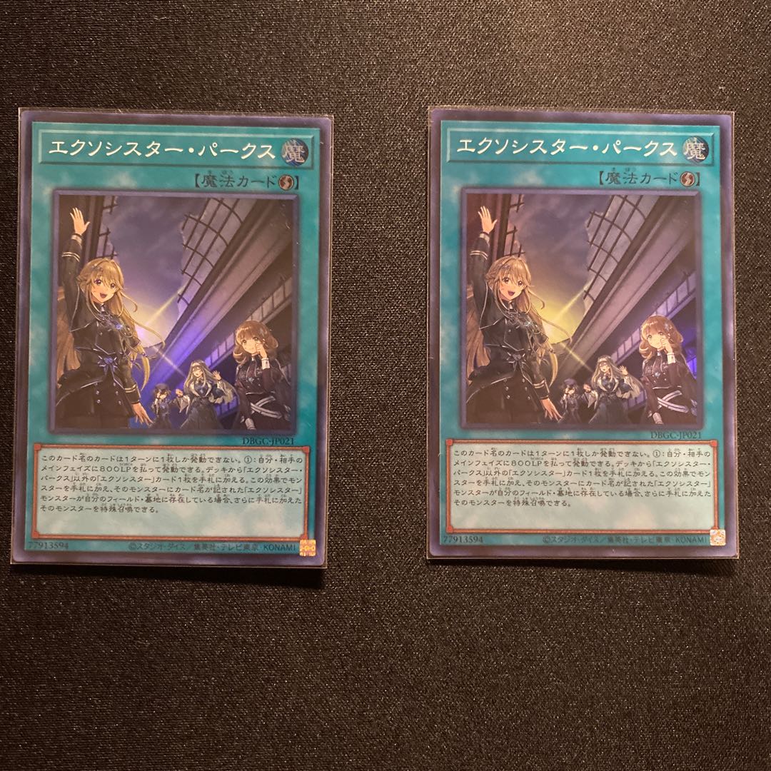 【イーノック様専用】パークス2枚セット