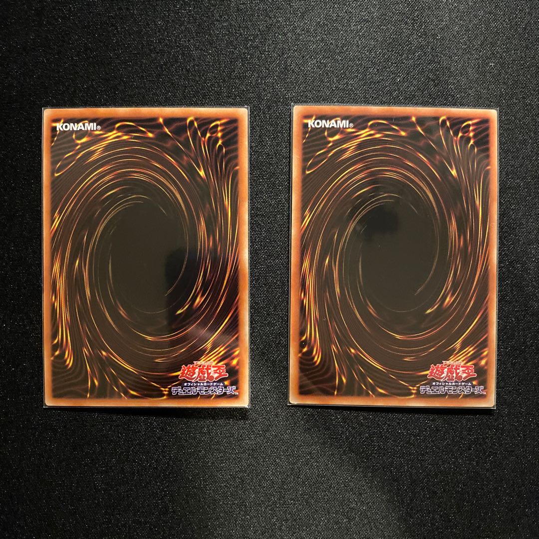 【イーノック様専用】パークス2枚セット