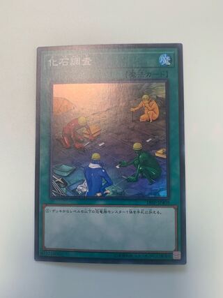 化石調査 スーパーレア