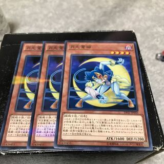 Lunalight Blue Cat 3 normal