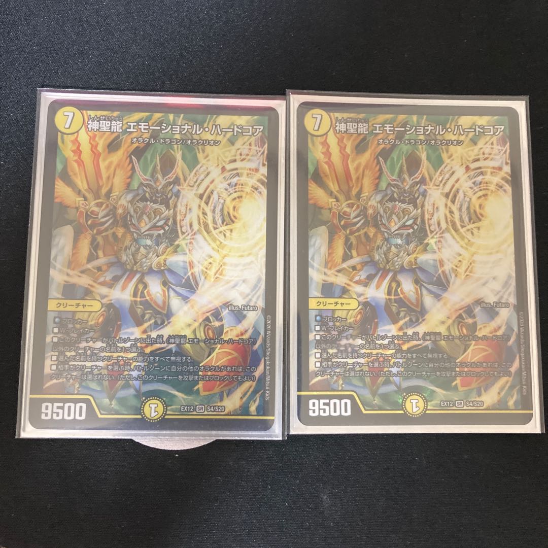 神聖龍 エモーショナル・ハードコア 2枚セット