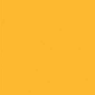 にゃんこ先生　専用