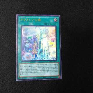 アラメシアの儀