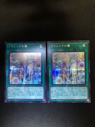 （専用）　アラメシアの儀　2枚セット　SE