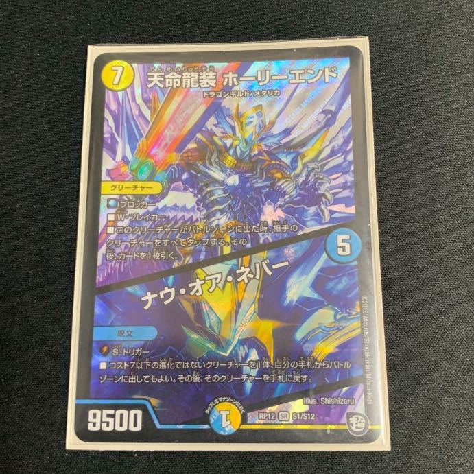 天命龍装 ホーリーエンド/ナウ・オア・ネバー