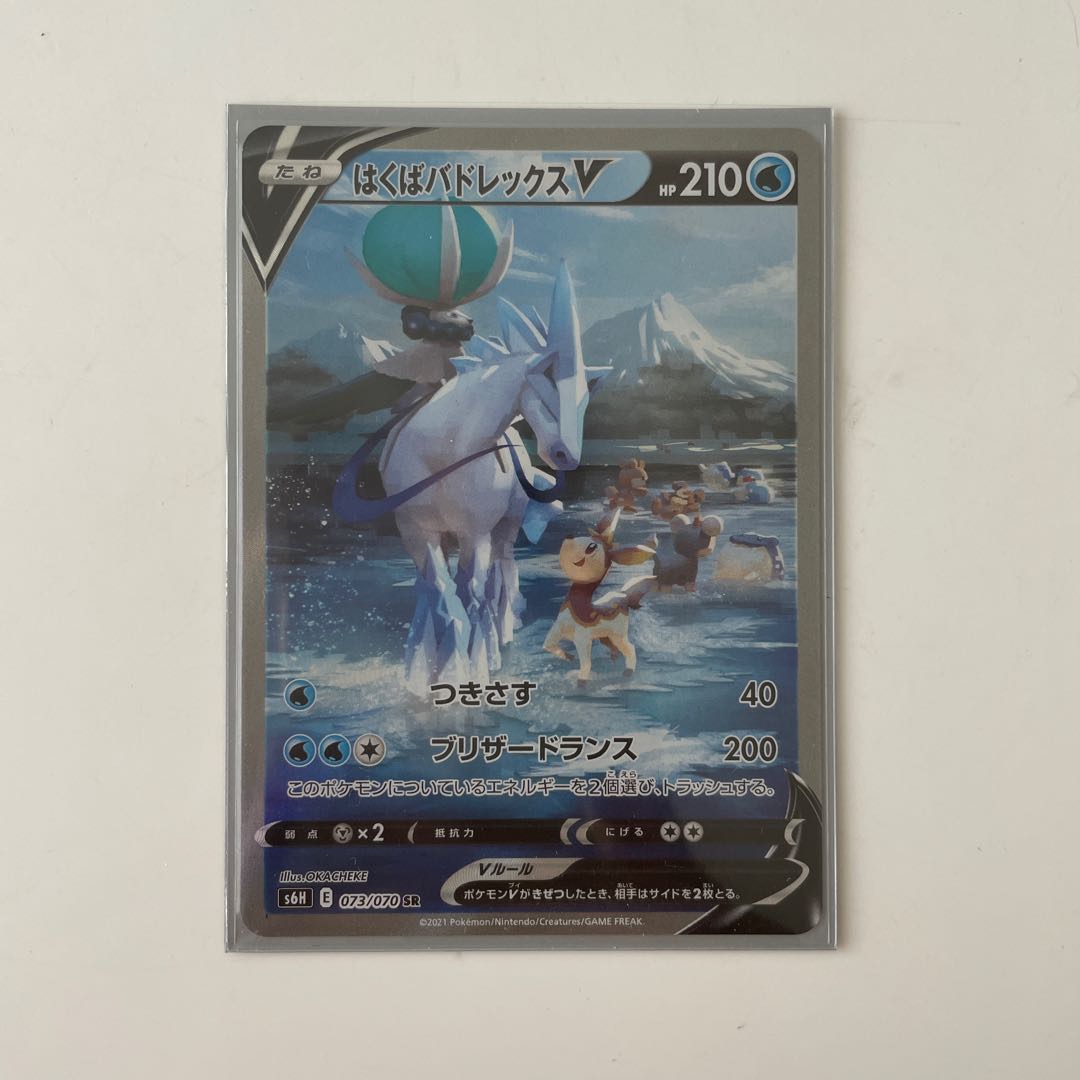 えーでん様専用 はくばバドレックスV SA