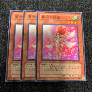 薔薇の妖精 ノーマル