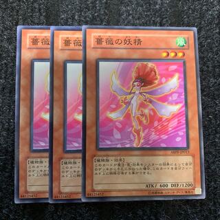 薔薇の妖精 ノーマル