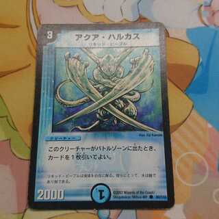 アクアハルカス