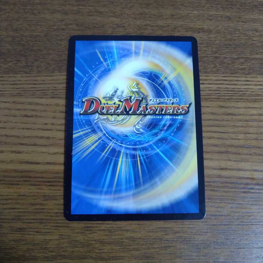 「絶対の楯騎士」