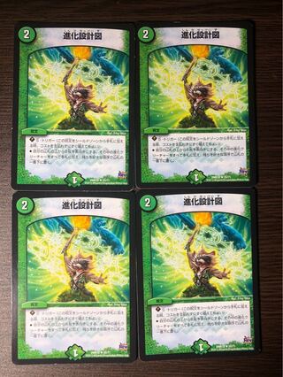 進化設計図 R  4枚セット