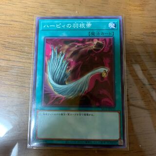 ハーピィの羽根帚